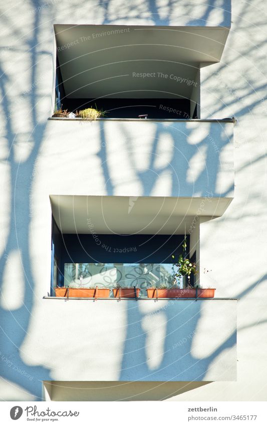 Balconies with shade Old building on the outside Facade Window House (Residential Structure) rear building Backyard Courtyard Interior courtyard downtown