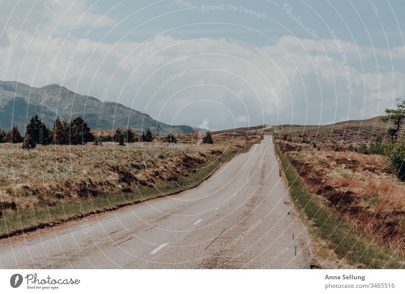 Empty undulating road in good weather Street Traffic infrastructure Transport Road traffic Deserted Colour photo Lanes & trails Motoring Line Means of transport