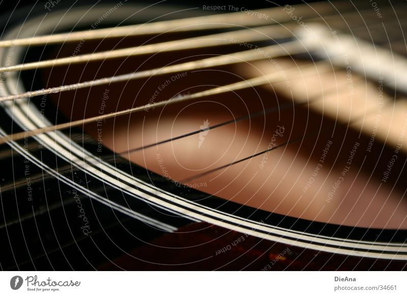 It's alternative (1) Acoustic Musical instrument string Steel Black Bronze White Resonance Leisure and hobbies Guitar sound hole Gold Circle Sound