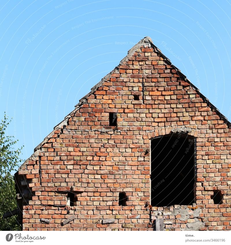 black holes ::: sunny outhouse of an abandoned farm House (Residential Structure) Facade Stone daylight Wall (building) Old Broken Surface Hollow Sunlight