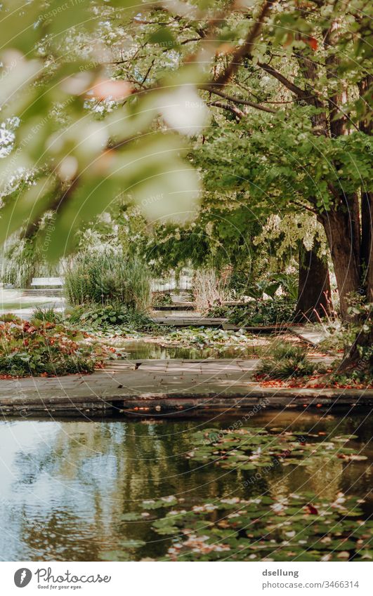 View into a green park under a tree Wellness Day Harmonious Going Shadow on one's own Well-being Recreation area Contentment path Target Advance Climate change