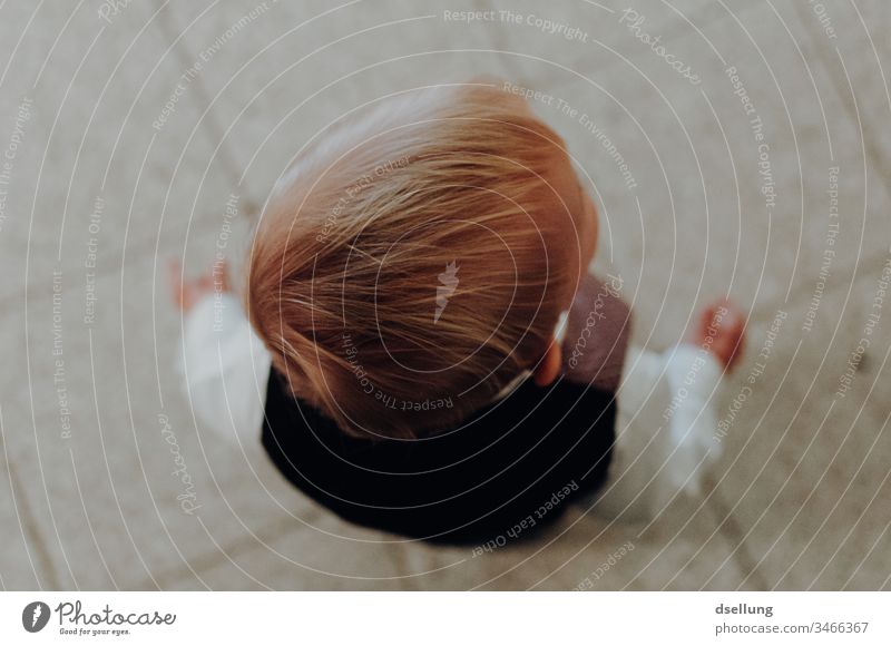 View from above of a small blond boy in fancy clothes Child Cute people youthful Little Boy (child) Lifestyle holidays innocence daydreaming little boy Infancy