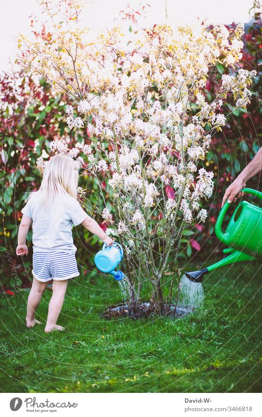 Teamwork - Father and child watering together in the garden Father with child Child Watering can girl Daughter Garden Together Attachment Parenting soak plants