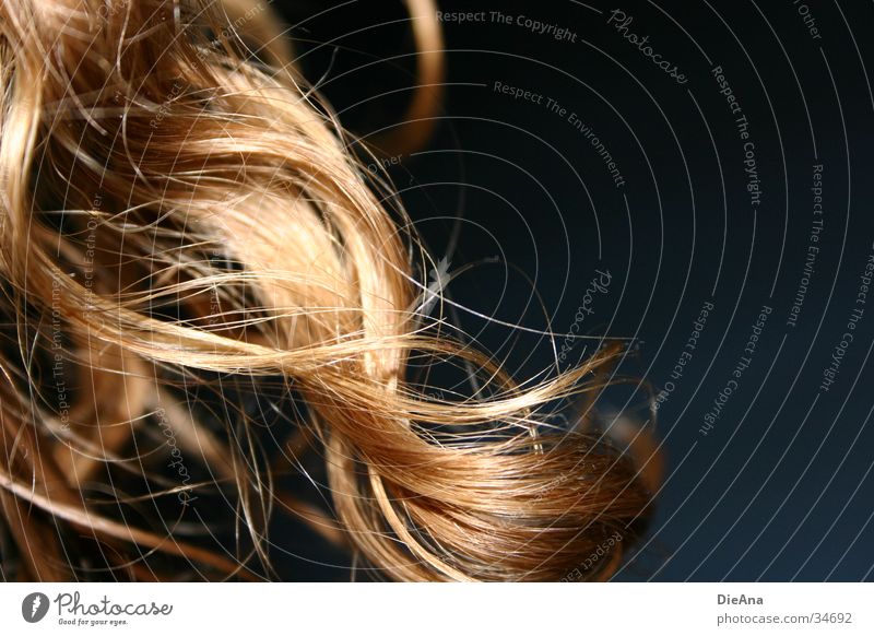 The Curl Blonde Waves Long Woman curls natural curls Macro (Extreme close-up) Hair and hairstyles