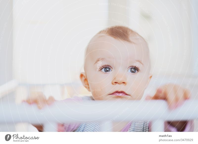 Baby Portrait Unschuld nachdenklich gesund dick gesicht augen