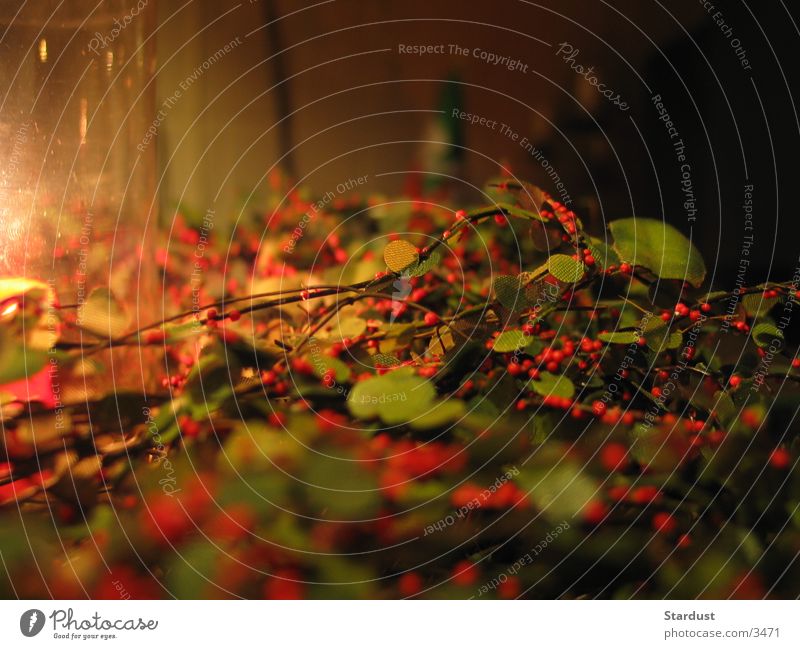 Artificial wreath in candlelight Wreath artificial plant Candle Macro (Extreme close-up)