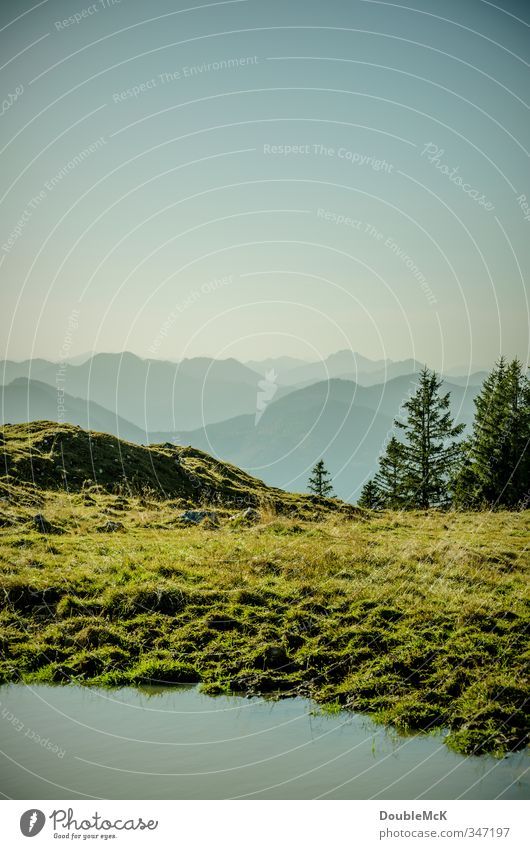 Alpine idyll #2 Far-off places Freedom Mountain Nature Landscape Water Sky Cloudless sky Beautiful weather Tree Meadow Alps Peak Lake Calm Loneliness Relaxation