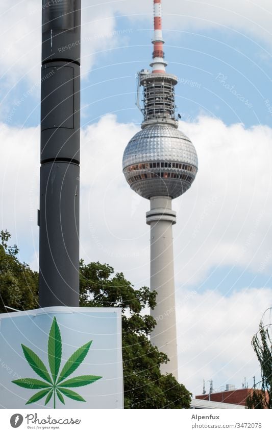 this place smells like... Berlin Marijuana Relaxation Cannabis Medication Intoxicant Plant Berlin TV Tower Exterior shot Hemp medicine Alternative medicine