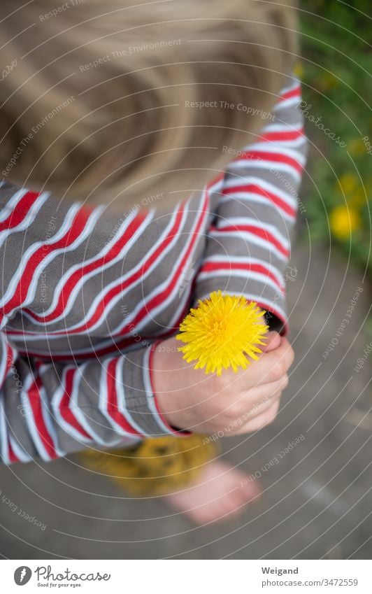 Mother's Day Flower Bouquet Dandelion Gift Infancy Child Thank you blossom