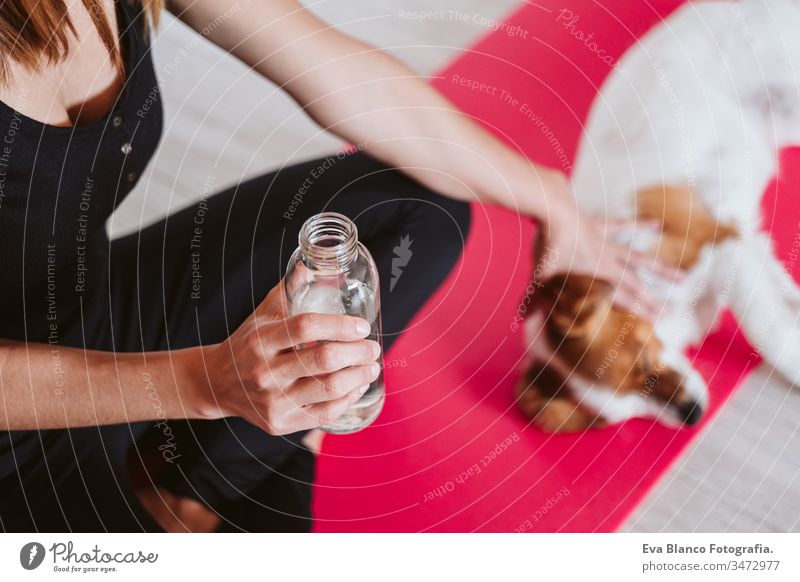 cute small jack russell dog sitting on a yoga mat at home with her owner drinking water. Healthy lifestyle indoors woman pet together sport exercise healthy