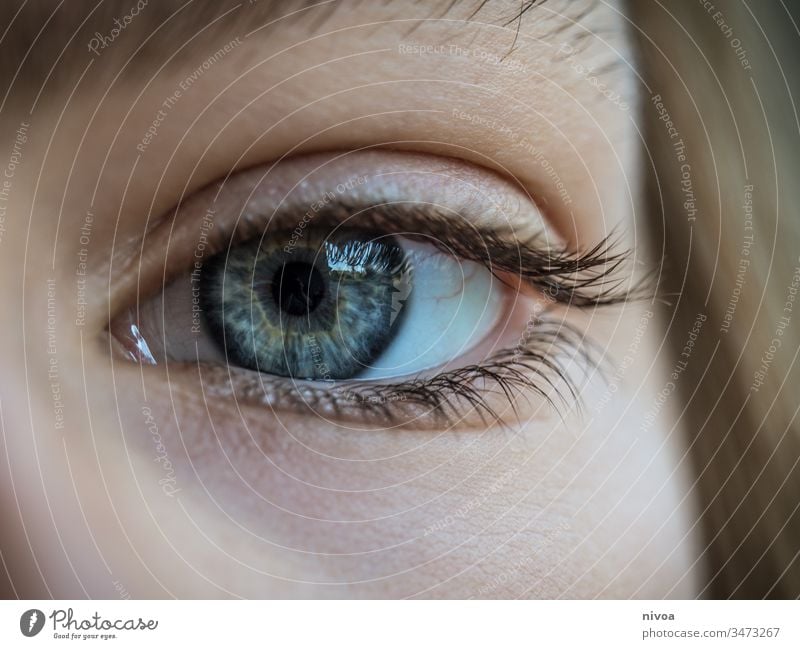 boys eye Eyes Close-up Looking Eyelash Pupil Face Boy (child) Eyebrow Human being Detail Blue Macro (Extreme close-up) Iris Eye colour Skin White Vision