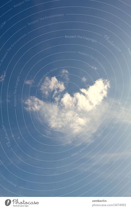 cloud altocumulus Worm's-eye view Sky Climate Climate change Deserted Meteorology Romance romantic Summer Copy Space Weather Clouds Cloud field