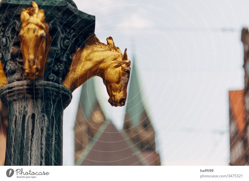 Horse head and cathedral in Bremen Bremen dom Dome Horse's head Sculpture Tourist Attraction Church Downtown Manmade structures Historic Town