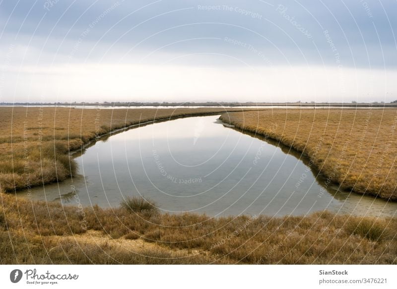 Landscape on delta of river Evros, Greece evros view sky natural landscape beautiful winter nature water aerial drone background white yellow tree greece