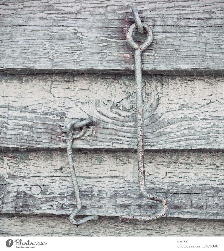 old friends Wall (building) Wood Checkmark Hang two Old Transience Metal flexed Opposite Contact Friends togetherness Detail Wood grain Colour Flake off