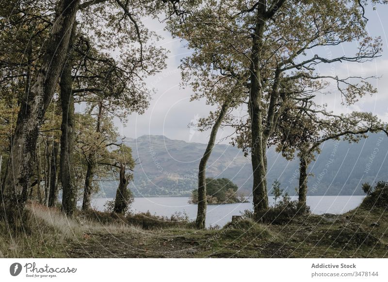 Peaceful landscape of lake and mountains forest peaceful fog tree tranquil calm hill water nature scenic travel scotland haze highland woods foliage autumn