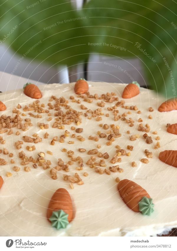 Rübli cake Carrot cake on table at Easter Cake carrots Table Nutrition Food Baking Food photograph Dessert Healthy Eating Baked goods Sweet Delicious