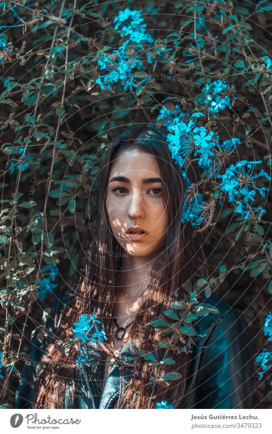 Young girl surrounded by blue flowers Front view Upper body Portrait photograph Multicoloured Interior shot Blur Colour photo head Lady attractive long hair