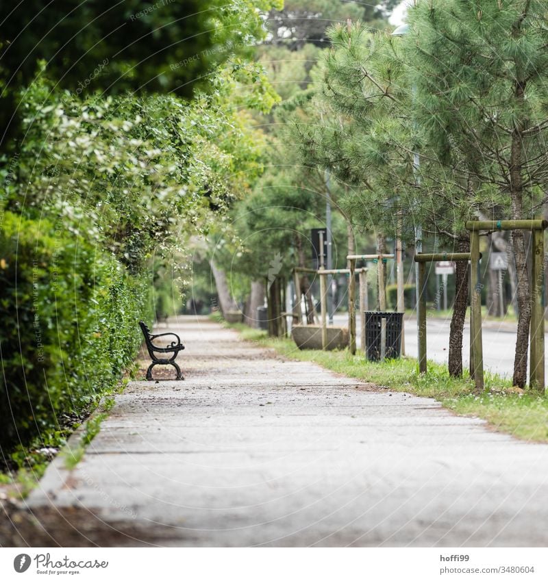 lonely bench in the park Park bench Spring fever insulation Lonely on one's own we are staying in void Quarantine stay at home coronavirus Virus pandemic