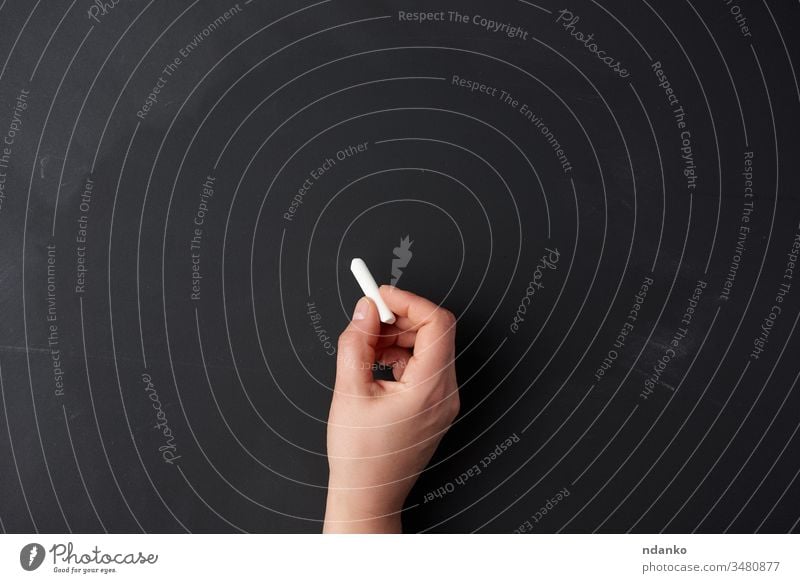 hand holds a piece of white chalk on the background of an empty black chalk board, presentation concept blank drawing school learn class childhood student