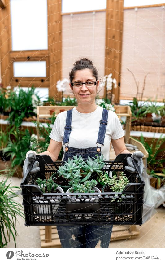 Female gardener with box of succulent woman carry plant work greenhouse organic fresh female adult natural botany cultivate agriculture florist flora