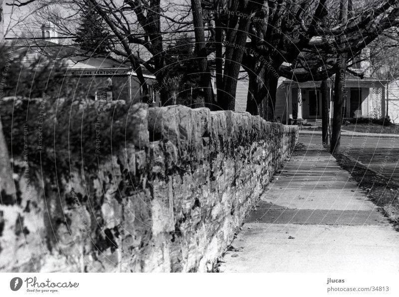 Rock Wall walk sidewalk tree charming Wall (barrier)