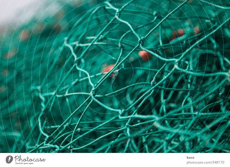 Going online? Fishing net Line Knot Net Network Simple Green Orange Colour photo Exterior shot Close-up Detail Macro (Extreme close-up) Pattern