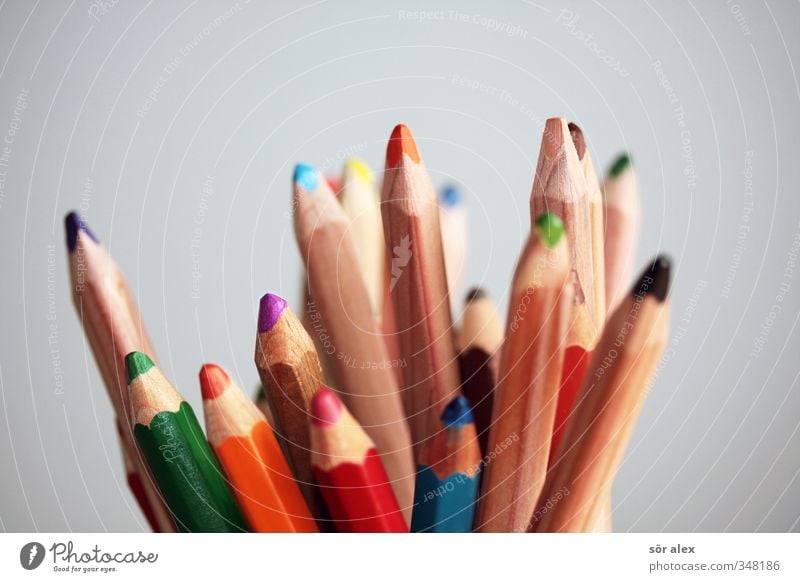 variety Education Kindergarten Study Media industry Advertising Industry Team Crayon Pen Stationery Draw Blue Multicoloured Green Violet Orange Red Creativity