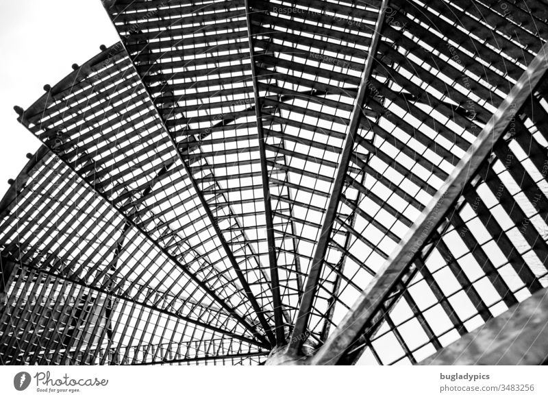 A fire escape / spiral staircase photographed from below in black and white Winding staircase Metal steps Architecture Fibonacci Black & white photo