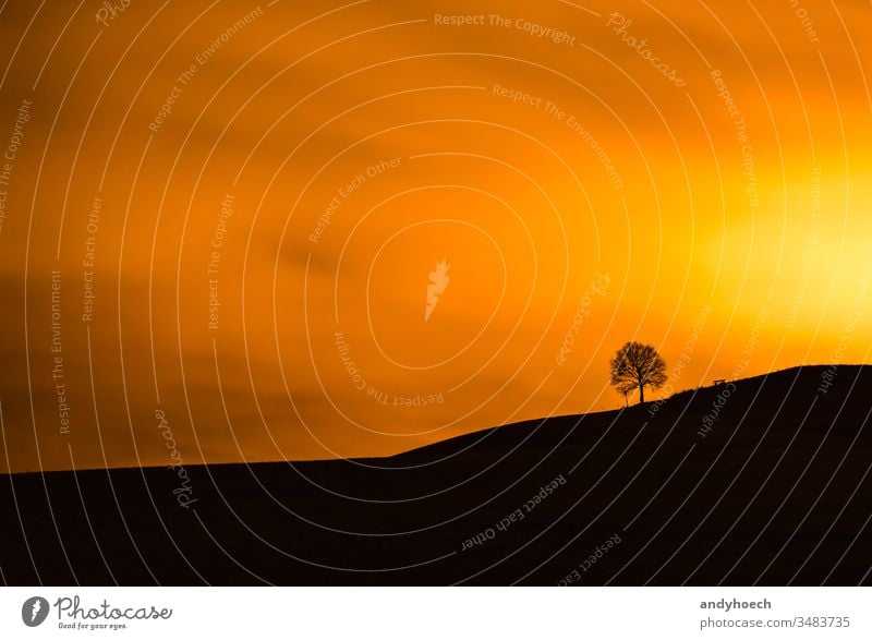 The sun burn down a tree and bench Background beautiful beauty in nature black cloud sky cloudy color copy space dramatic dramatic sky empty evening field