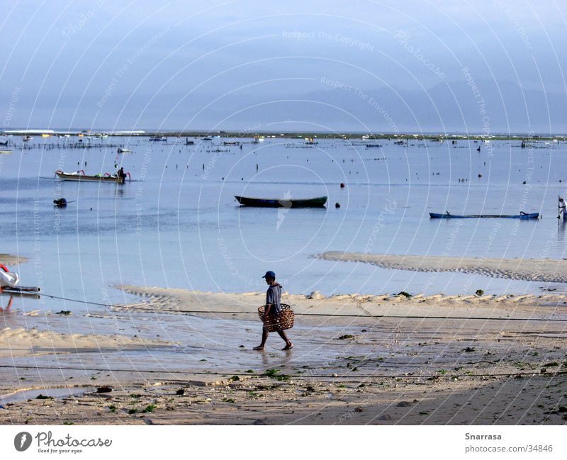 Man; Nusa Lembongan 2003 Fisherman Beach Watercraft Asia Bali Sunrise Sunset Indonesia Morning Dawn