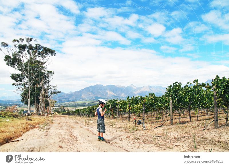 bikes 'n wines Sunlight Contrast Light Day Exterior shot Colour photo Lanes & trails already Fantastic Exceptional To enjoy Relaxation Stellenbosch South Africa