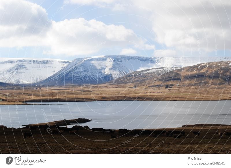 dreamland Environment Nature Landscape Elements Sky Clouds Spring Summer Autumn Winter Climate Climate change Weather Hill Mountain Peak Snowcapped peak Volcano