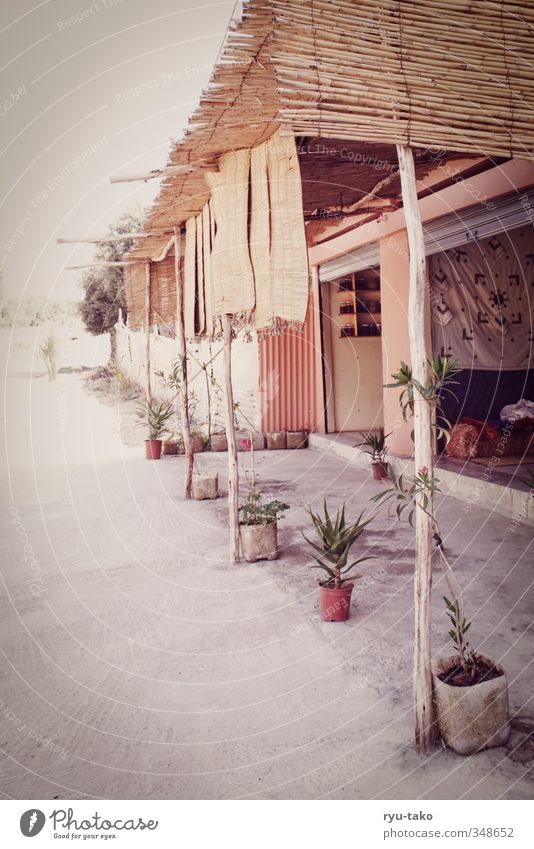 a village Village Hut Roof To enjoy Warmth Contentment Warm-heartedness Serene Calm Thatched roof Cozy Flat (apartment) Dry Congenial Colour photo Exterior shot