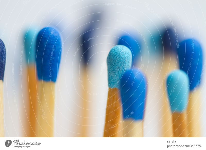 Totally blue blue heads. Wood Stand Blue Match Society Together Combustible Equal Versatile Colour photo Interior shot Close-up Detail Macro (Extreme close-up)