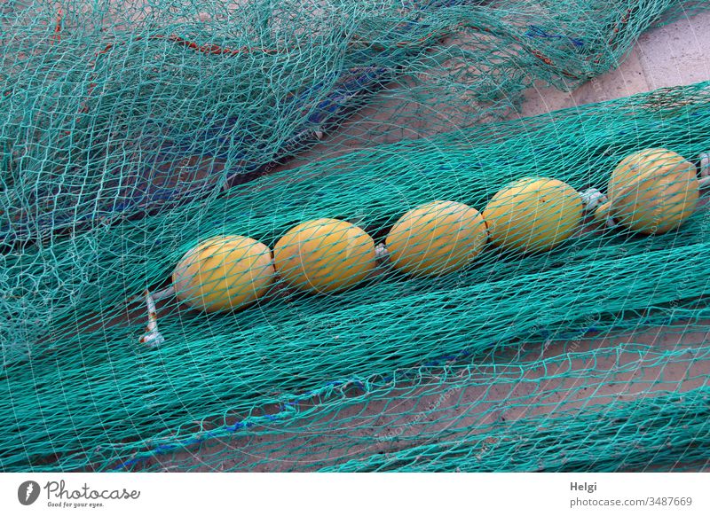 turquoise fishing nets with yellow floating balls are lying at the harbour Fishing net Net Network Harbour Fishery Colour photo Exterior shot Day Deserted