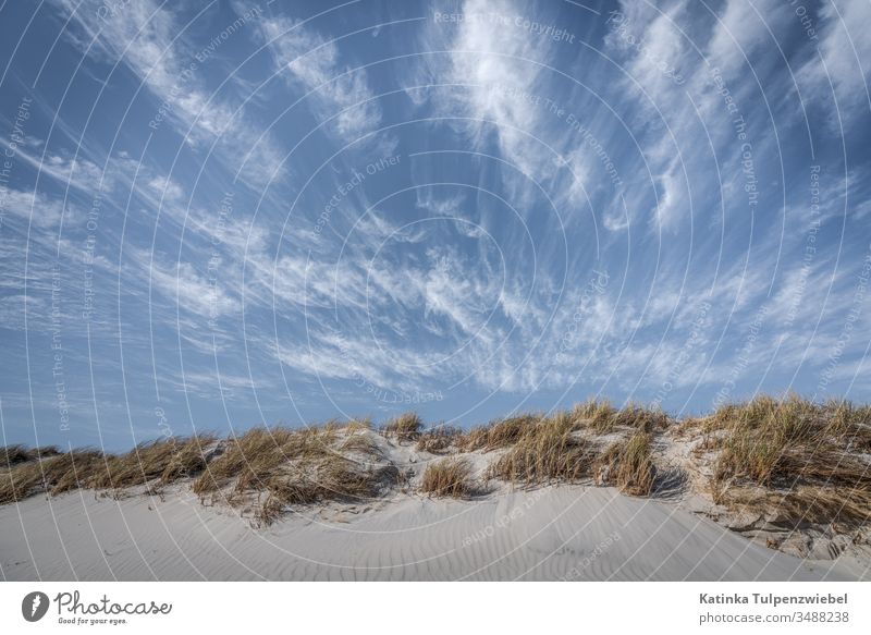 In the updraft of the dunes Summer Beach Island Elegant Blue Nature Day Exterior shot Minimalistic Colour photo Deserted Germany Emotions Uniqueness North Sea