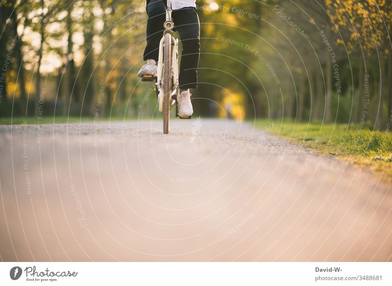 Young man on the road bike II Bicycle Transport Street Cycle path Driving Means of transport Traffic infrastructure Lanes & trails Cycling Movement Road traffic