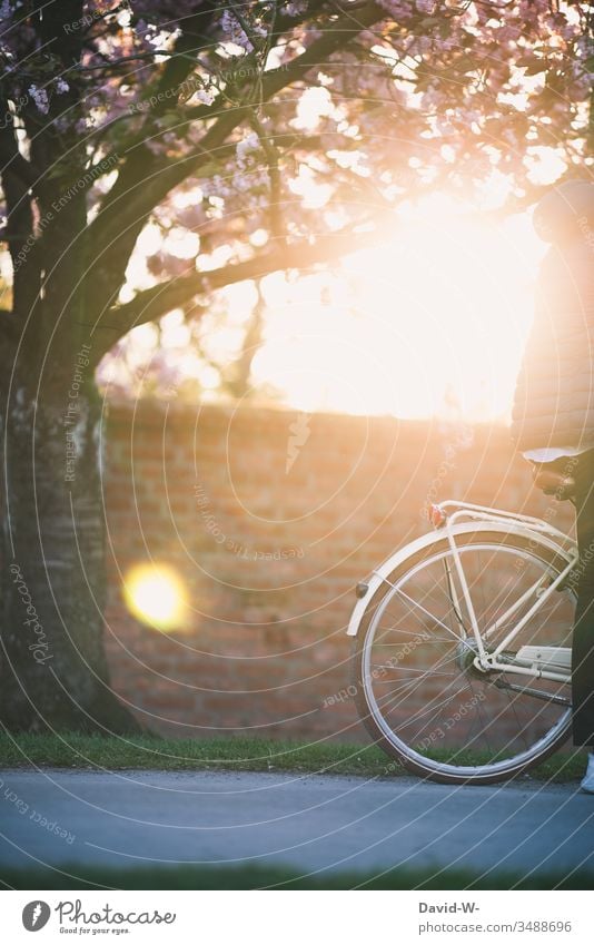 biking through nature at sunset man with bike Cycling Bicycle Cycling tour Man Sunlight Anonymous Beautiful weather fun Joy Nature relaxation Love of nature