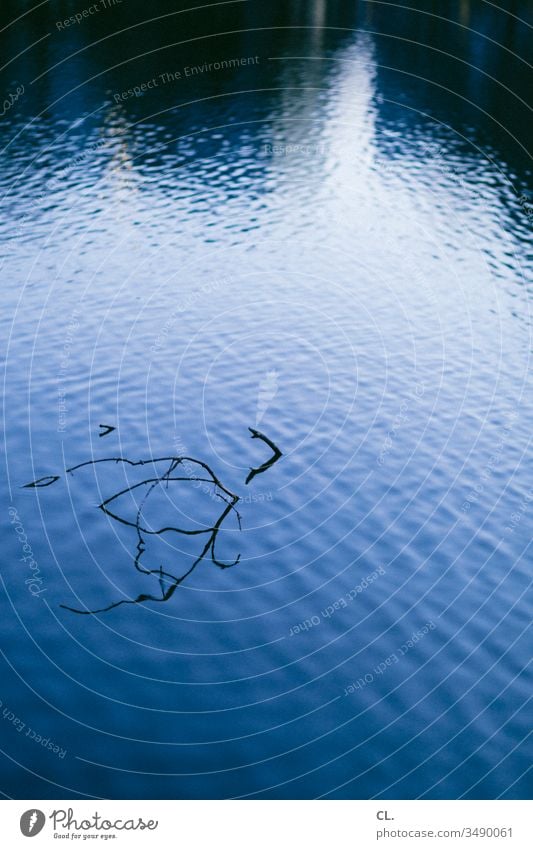 water's surface Water Surface of water Twig Twigs and branches Abstract Lake Pond Water reflection Reflection Esthetic Deserted Exterior shot Nature