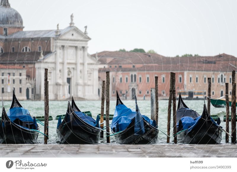 A series of gondolas on the Grand Canal with historic buildings in the background Gondolier gondolieri Venice Italy Gondola (Boat) Canal Grande Channel Old town