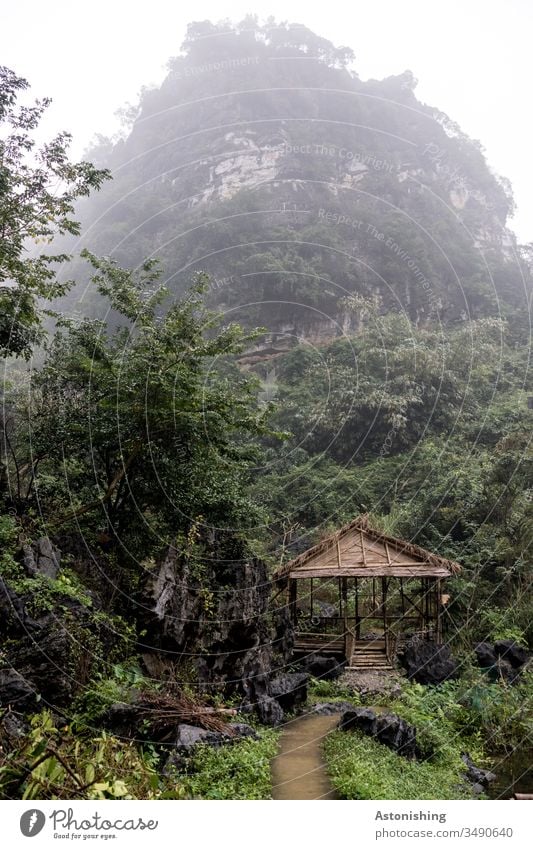 Hut in the jungle near Ninh Binh, Vietnam Bich Dong Pagoda jungles leaves foliage Tree Roof Behind Virgin forest Asia Nin Binh path off Fog Damp Hill Mountain