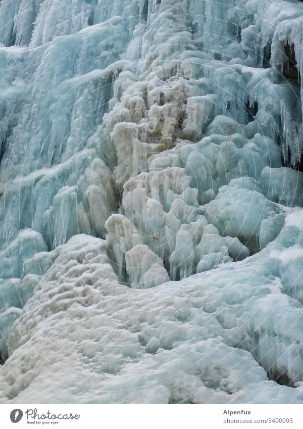 Flower charcoal Ice Waterfall Cold Winter Nature Colour photo Snow Frozen Exterior shot Frost White Freeze Blue Cauliflower frozen water Deserted Day Icicle