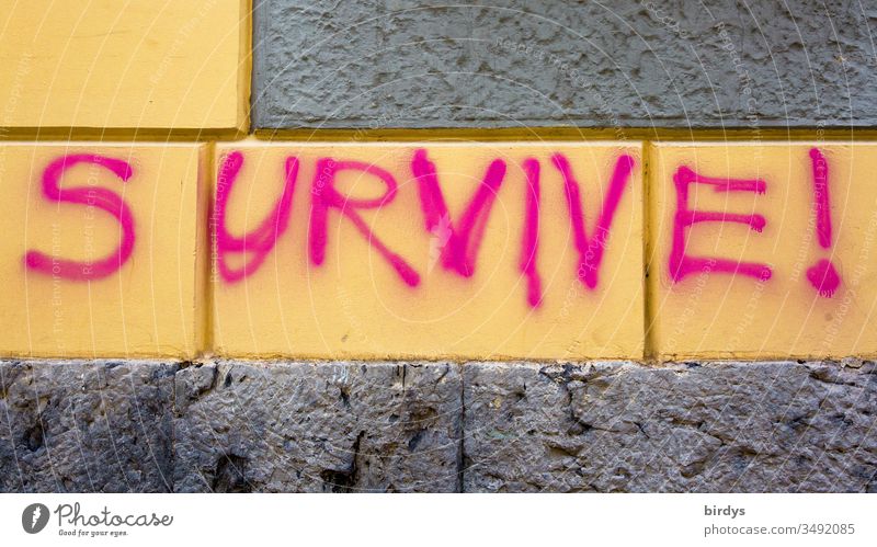 survive !, survive !, sprayed, lettering in English on a house wall in close-up format Survive invitation Brave Poverty Climate change Deserted