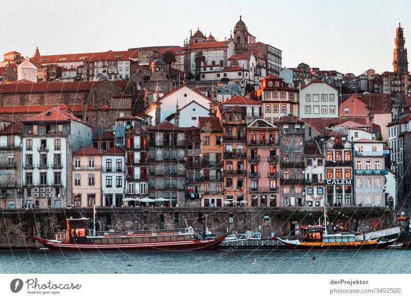 View of the Douro river and the old town of Porto in the north of Portugal Nature Environment coast Emotions Loneliness Gray Gloomy Subdued colour