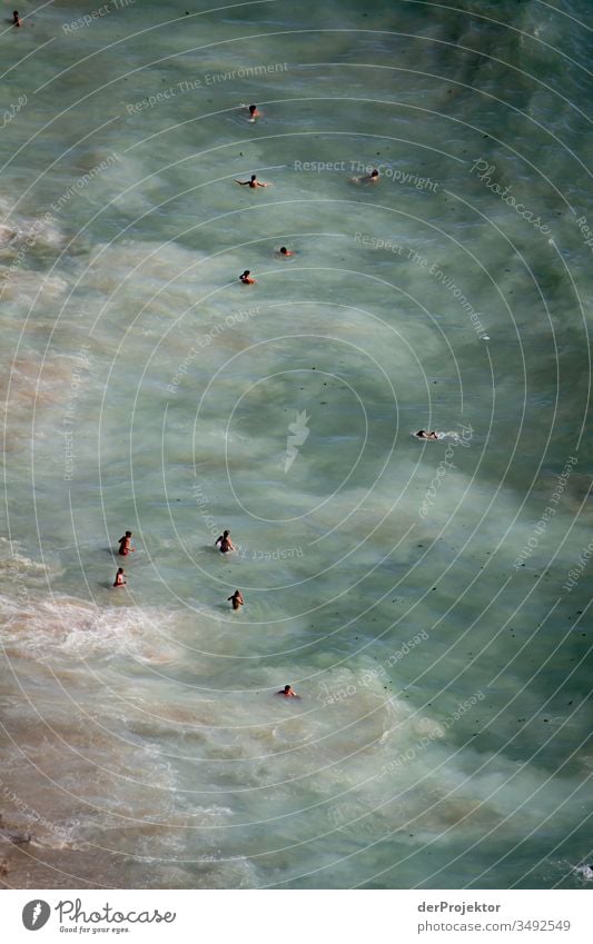 Swimming in the waves of Nazaré in Portugal Surf Waves Ocean Swimming & Bathing knee-deep Water on the coast water loving Aquatics Bathing place Human being