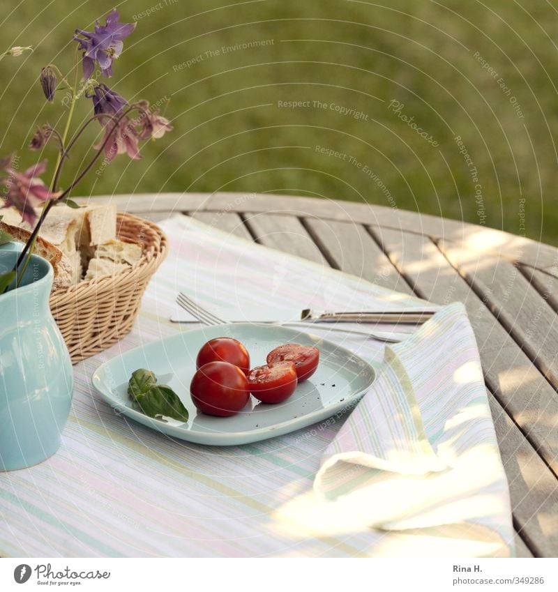 LeanFood II Bread Tomato Vegetarian diet Plate Knives Fork Garden Spring Summer Beautiful weather Wind Aquilegia Meadow Vase Bright Joie de vivre (Vitality)