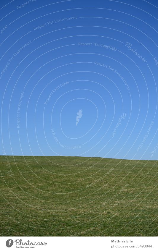 Green meadow with blue sky Blue Colour windows Field Meadow Summer Nature Relaxation Grass Calm Boredom Panorama (View) Deep depth of field Light Day