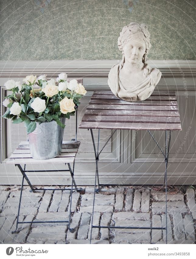 White Roses Passage Wall (building) Cobblestones Folding table Stool Simple Old Flowerpot Bucket roses Torso Sculpture Woman Baroque Face still life Deserted