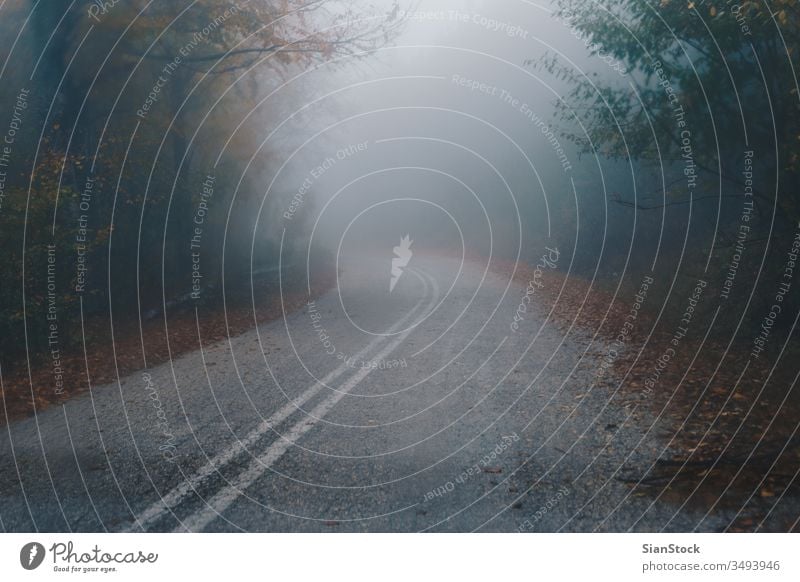 Autumn landscape, foggy road in forest nature street path Greece Evros Rodopi autumn misty light green morning background dark dawn mystery fantasy beautiful